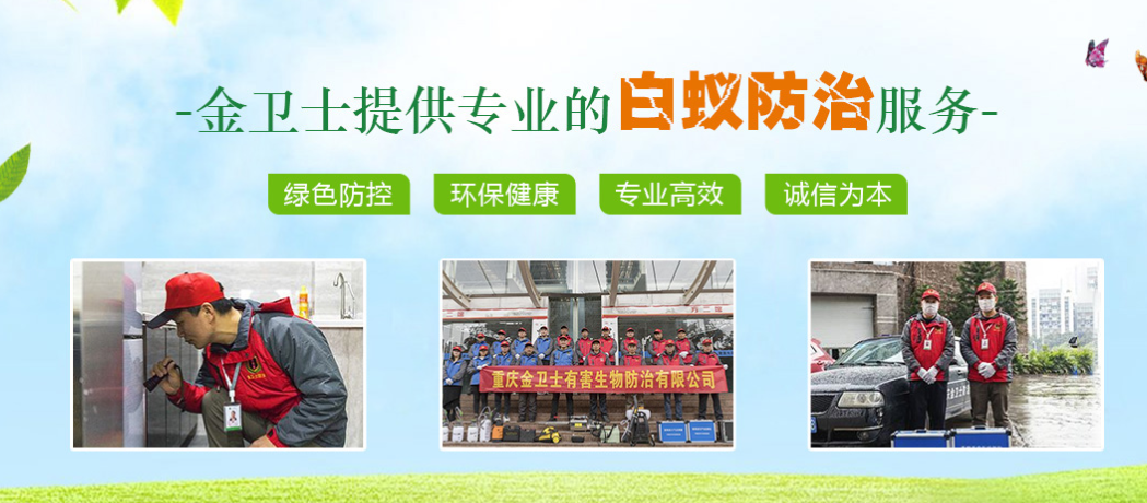 春季3月時(shí)期，白蟻消殺工作任重而道遠(yuǎn)  ?
