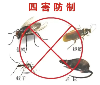 床墊易滋生吸血臭蟲，怎樣預(yù)防呢？